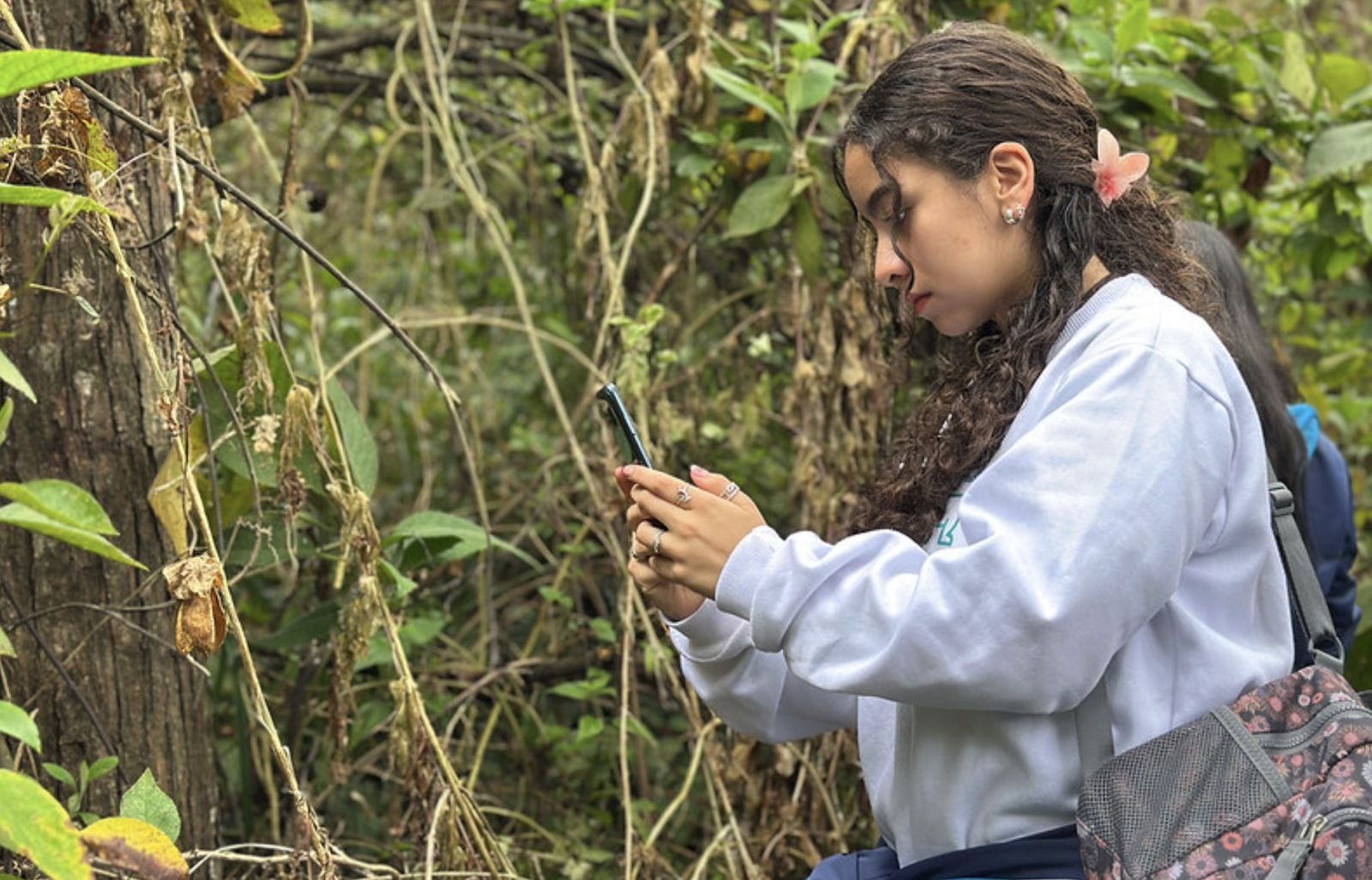 Ecología