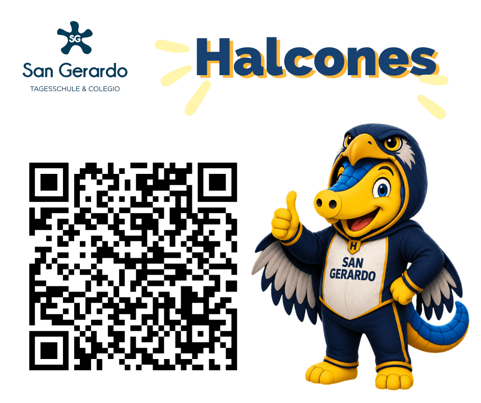Halcones